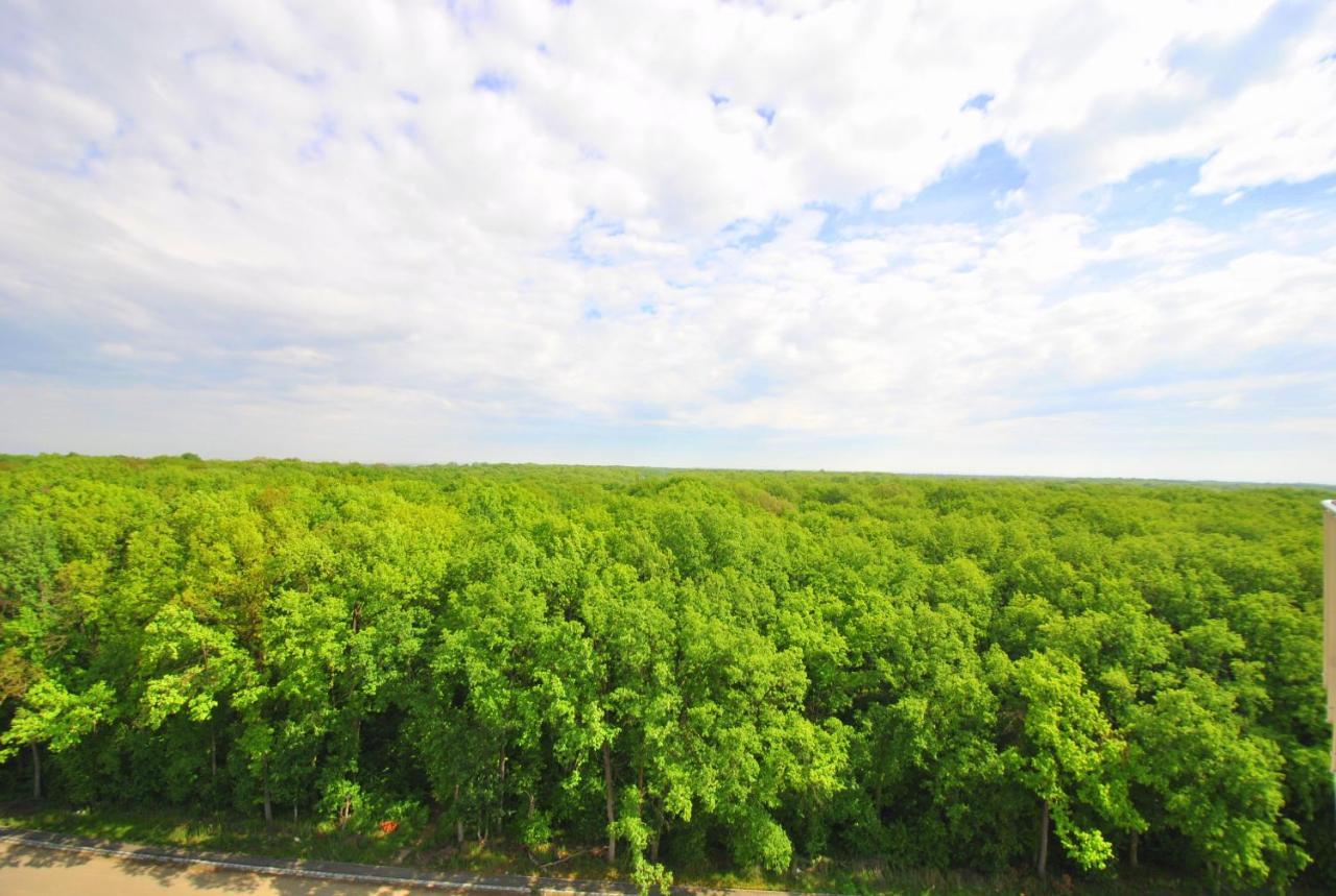 Foresthouse 1 Тімішоара Екстер'єр фото