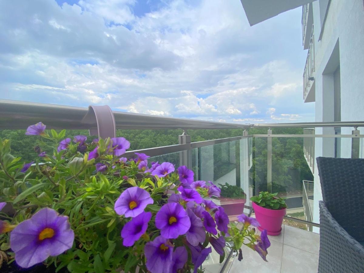 Foresthouse 1 Тімішоара Екстер'єр фото
